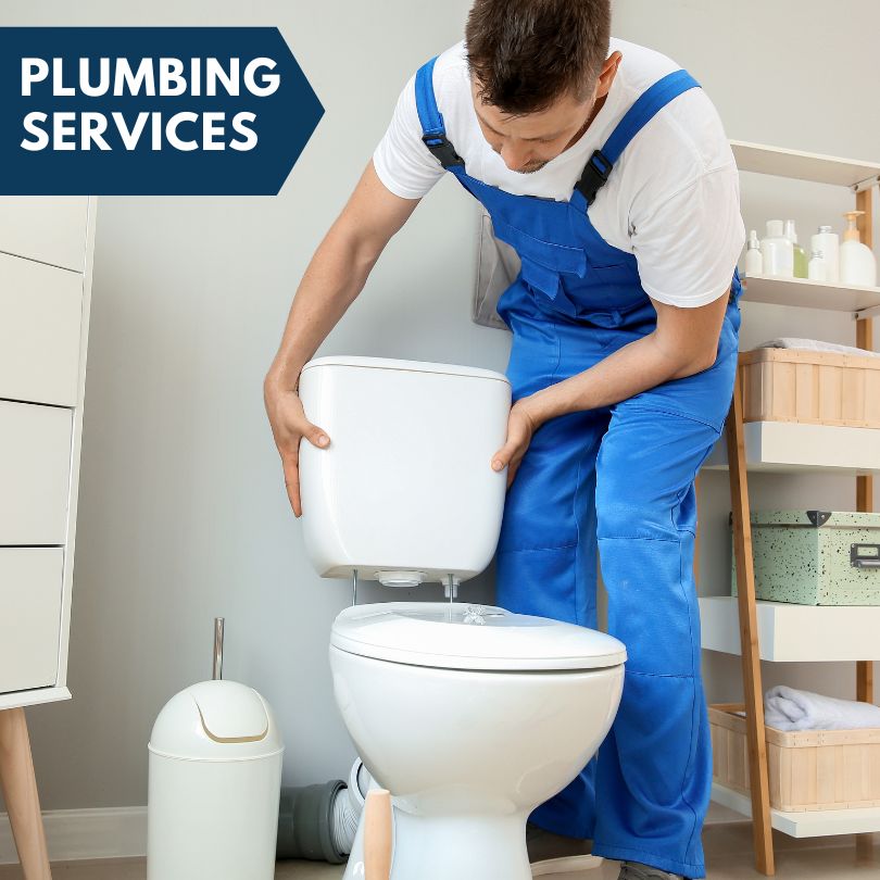 Plumbing Company in Saint Leo, FL